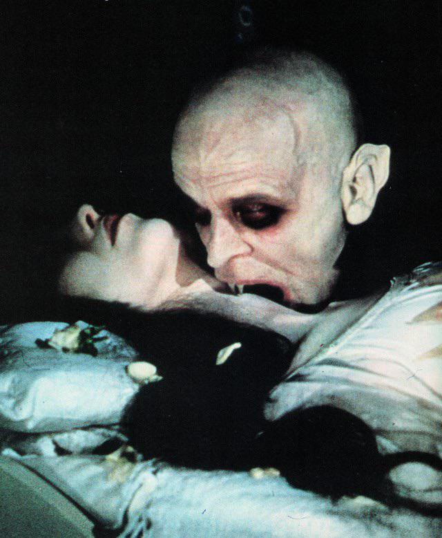 She died in my arms
